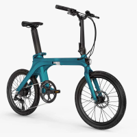 Rower elektryczny FIIDO X-2025