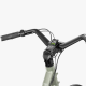 Rower Elektryczny Fiido C700