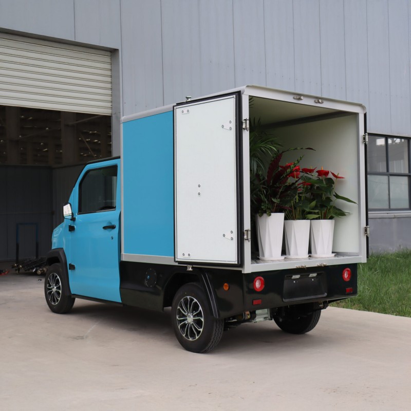 Cargo elektryczne JONWAY BOX