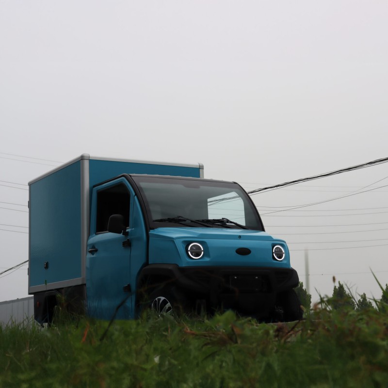 Cargo elektryczne JONWAY BOX