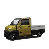Cargo elektryczne JONWAY PICKUP