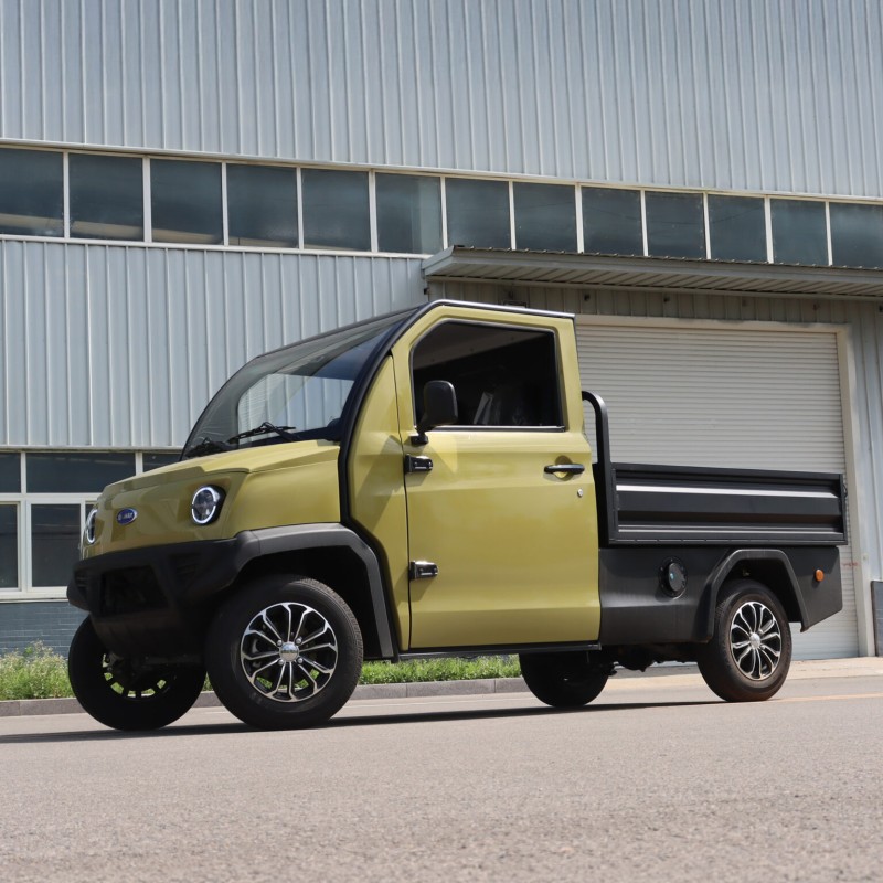 Cargo elektryczne JONWAY PICKUP
