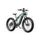 Електровелосипед DUOTTS E26