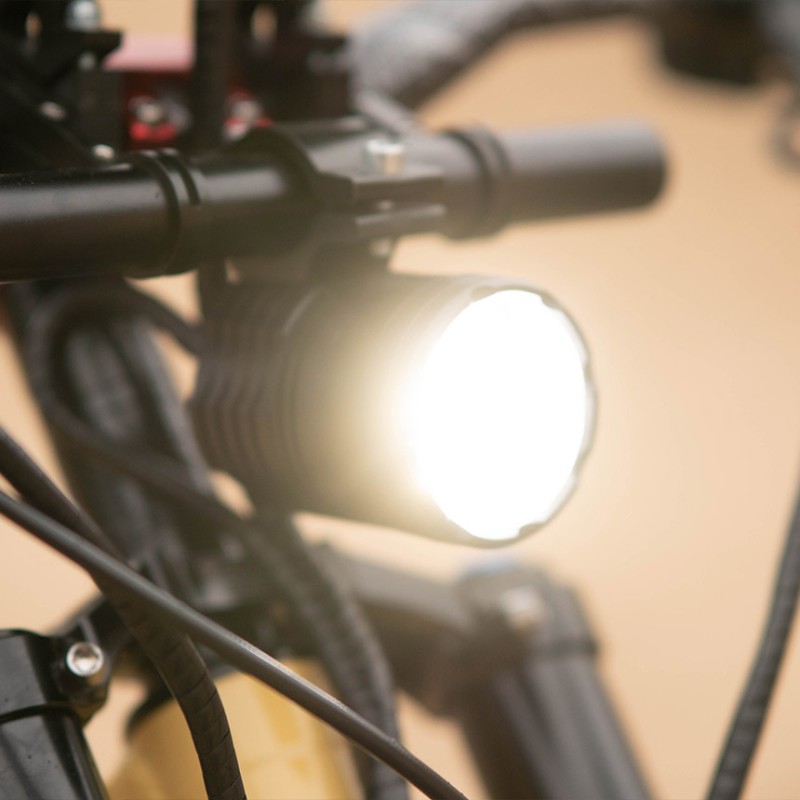 Rower elektryczny BearEbike Desert