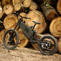 Rower elektryczny BearEbike Light