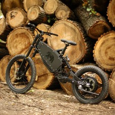 Rower elektryczny BearEbike Light