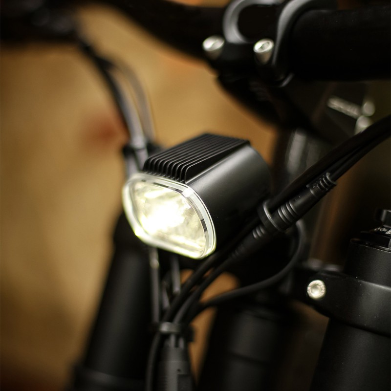 Rower elektryczny BearEbike Light