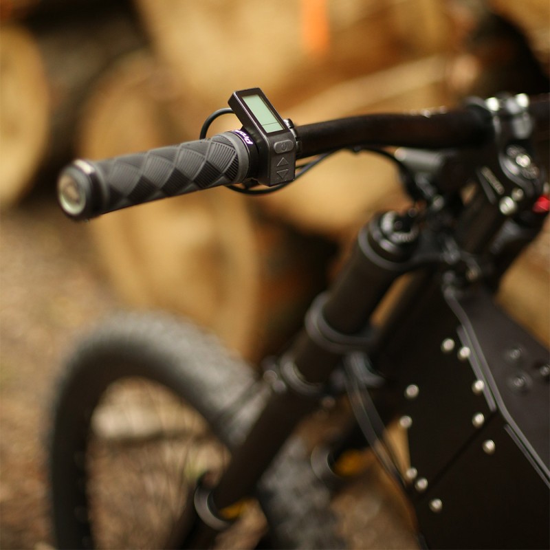 Rower elektryczny BearEbike Light