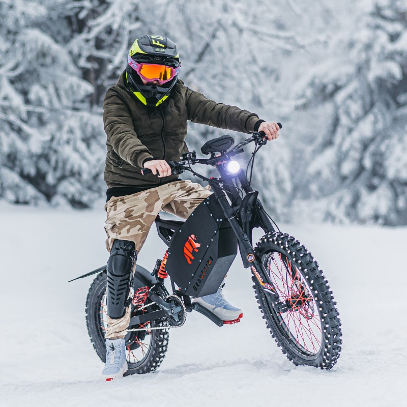 Rower elektryczny BearEbike Nitro