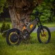 Rower elektryczny BearEbike Ultimate