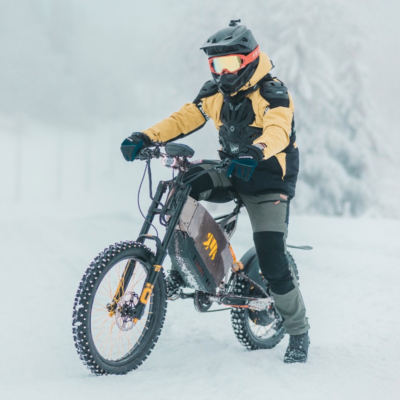 Rower elektryczny BearEbike Ultimate