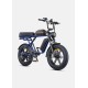 ENGWE M1 Electric Bike