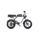 ENGWE M1 Electric Bike
