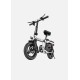 ENGWE T14 Folding Electric Bicycle