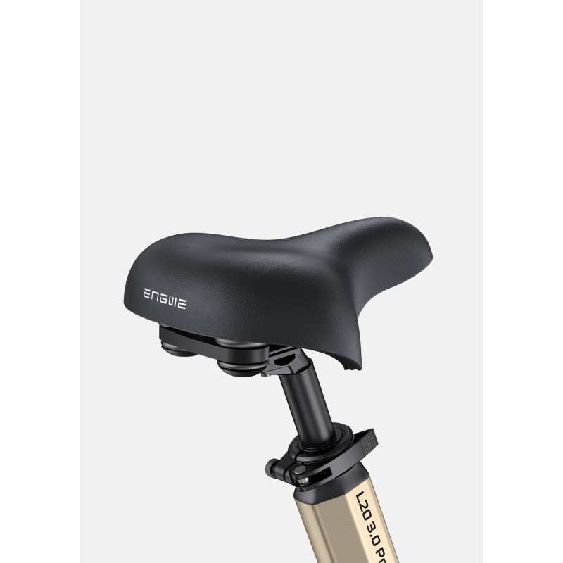 Rower elektryczny ENGWE L20 3.0 Pro