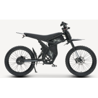Rower elektryczny Riding Times GT73