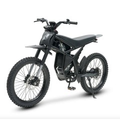 Електровелосипед Riding'times GT73