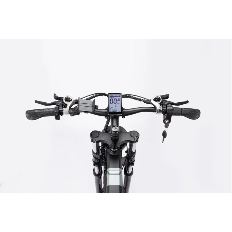 Rower elektryczny Ridstar DC26