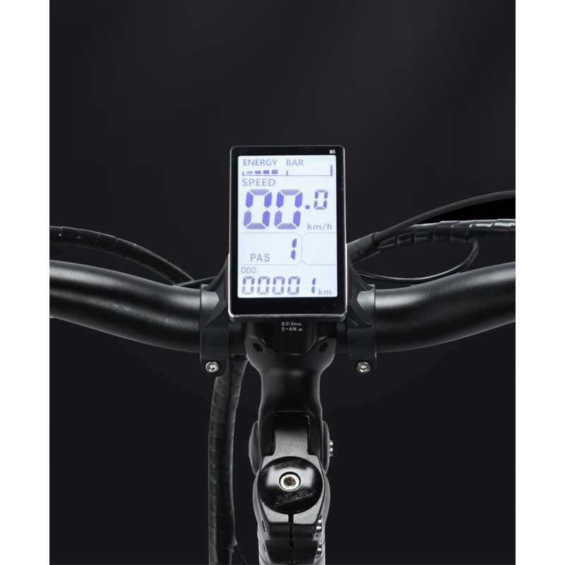 Rower elektryczny Ridstar H20