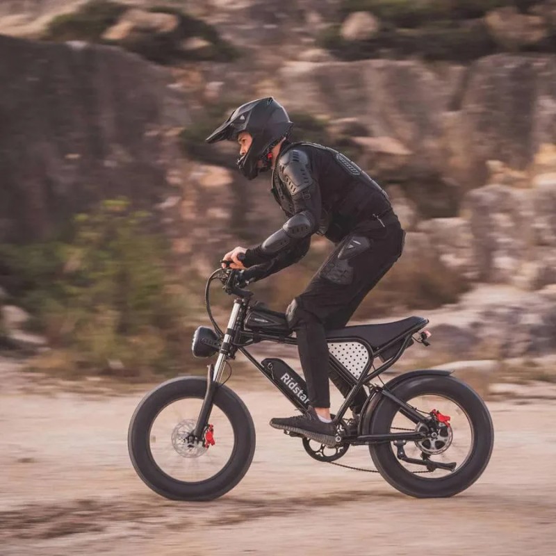 Rower elektryczny Ridstar Q20