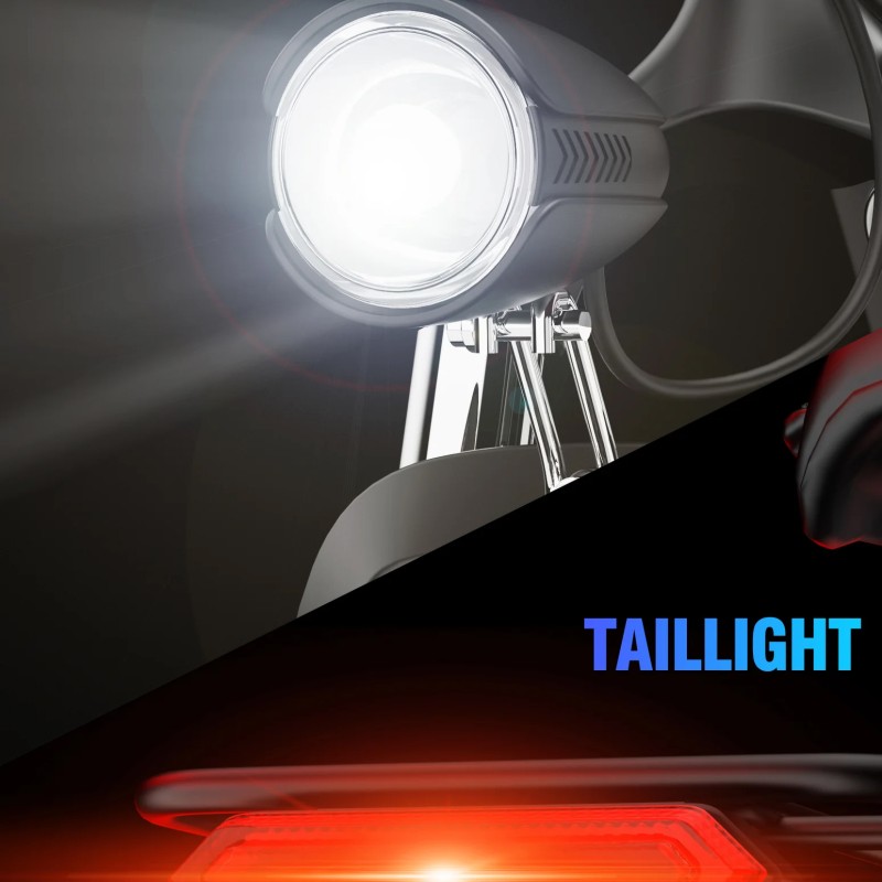 Rower elektryczny Ridstar S29 PRO