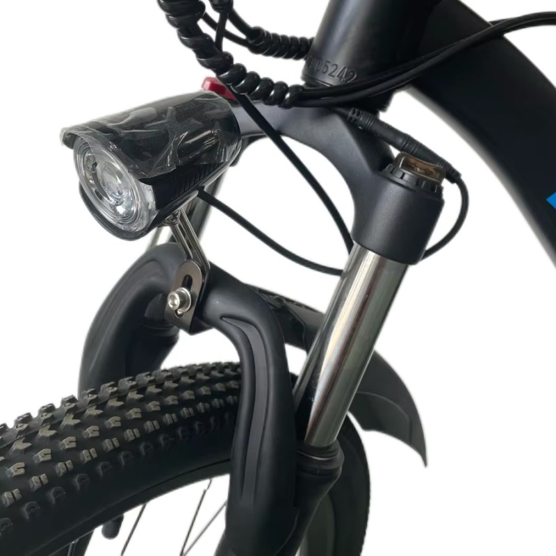 Rower elektryczny Ridstar S29 PRO