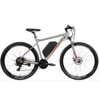 E-bike 29" Formula F-1 frame-18,5" 250W 48V gear rear display, PAS, 12.5Ah with frame mount, grey (matt) 2022
