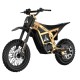Elektryczny motocykl terenowy APTUM AP-2C