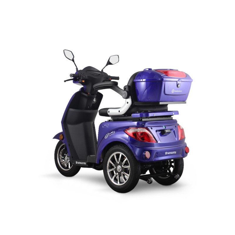 Pojazd elektryczny LIFE Basic