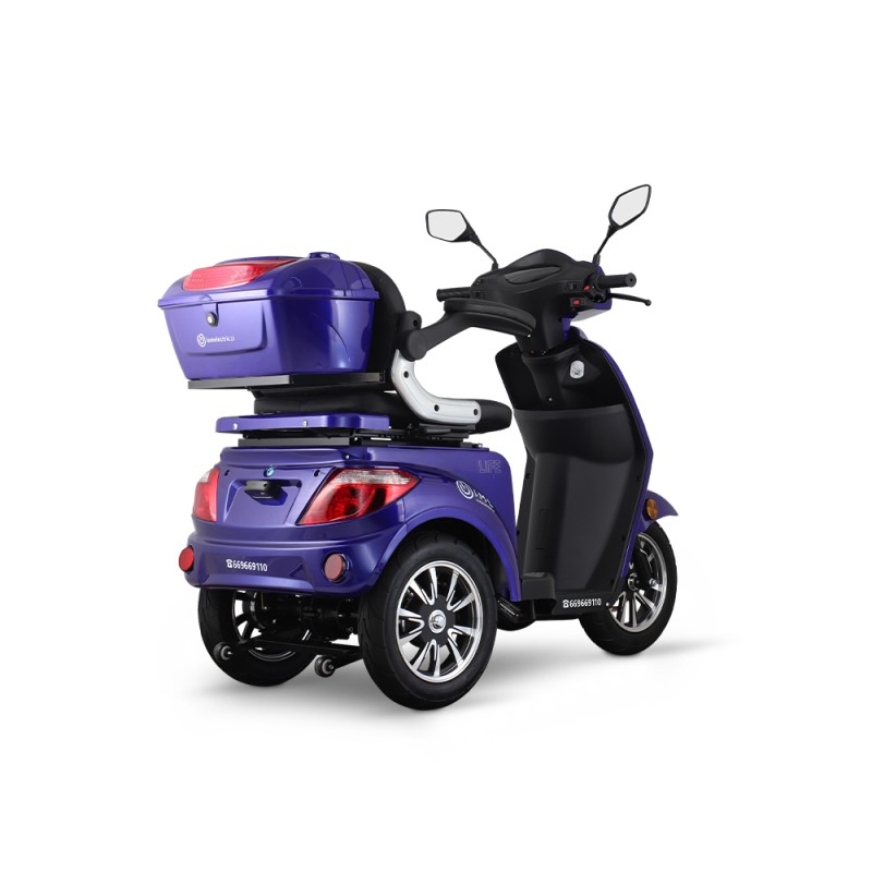 Pojazd elektryczny LIFE Basic