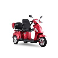 Pojazd elektryczny LIFE double