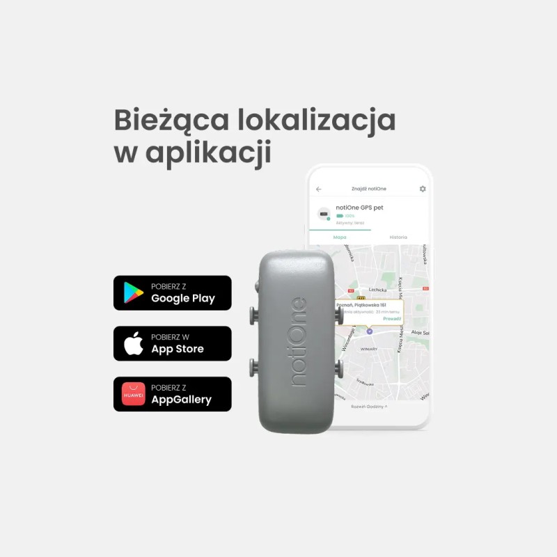 Lokalizator dla psa i kota notiOne GPS pet PLUS