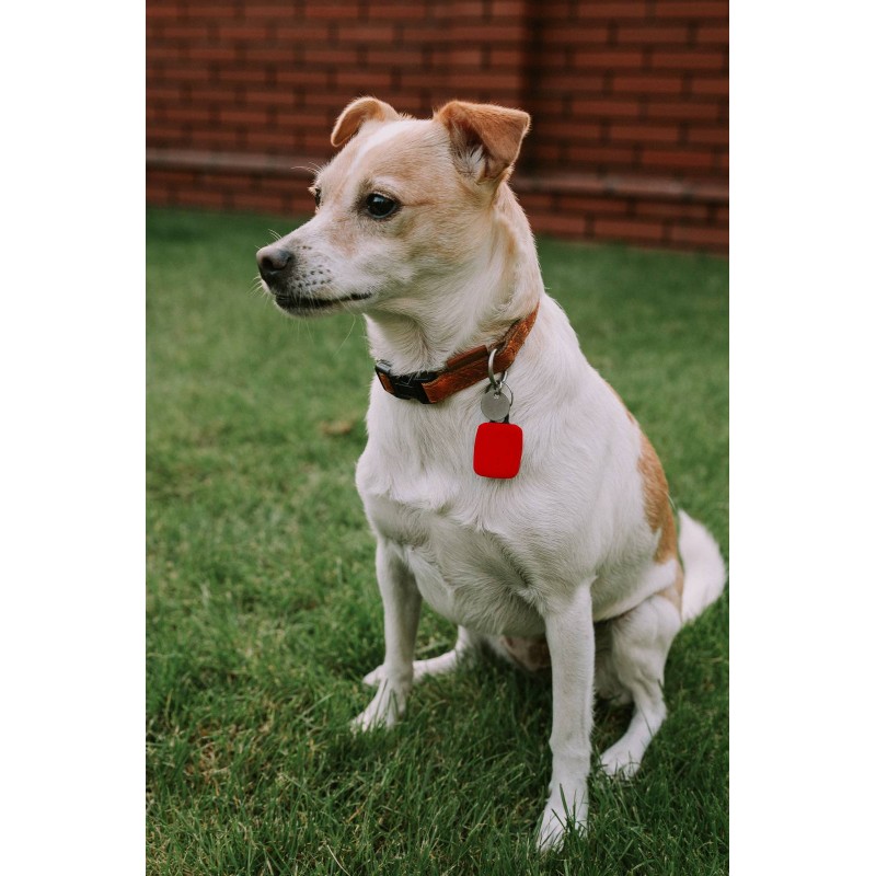 Lokalizator notiOne go! PLUS