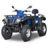 Buggy i quady